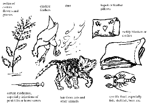 Allergens Sample