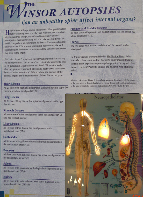 Ainsor Autopsies and the Neuropatholator Demonstration